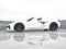 2024 Chevrolet Corvette Z06 2LZ