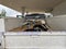 2022 Chevrolet Silverado 2500 HD WT