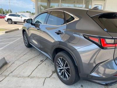 2025 Lexus NX NX 250 Premium