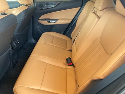 2025 Lexus NX NX 250 Premium