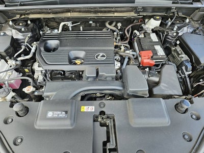 2025 Lexus NX NX 250 Premium