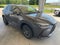 2025 Lexus NX NX 250 Premium