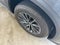 2025 Lexus NX NX 250 Premium