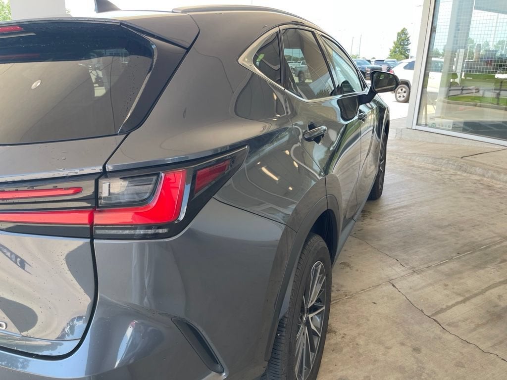 2025 Lexus NX NX 250 Premium