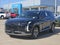 2024 Hyundai Palisade SEL 8P